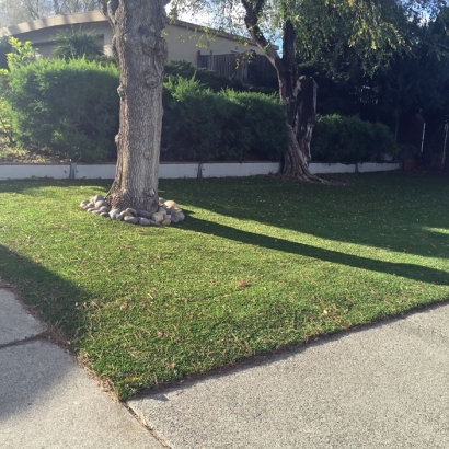 Fake Turf Portola Hills, California Landscaping, Front Yard Landscape Ideas