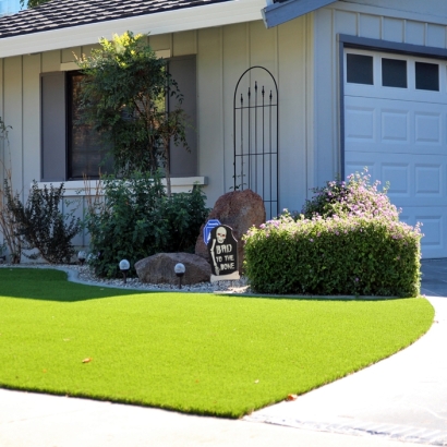Faux Grass Mission Viejo, California City Landscape, Front Yard Landscaping