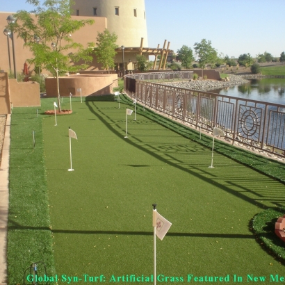 Faux Grass North Tustin, California Putting Green Carpet, Backyard Landscape Ideas