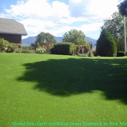 Faux Grass Placentia, California Dog Pound, Backyard Ideas