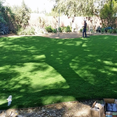 Faux Grass Stanton, California Landscape Ideas, Small Backyard Ideas