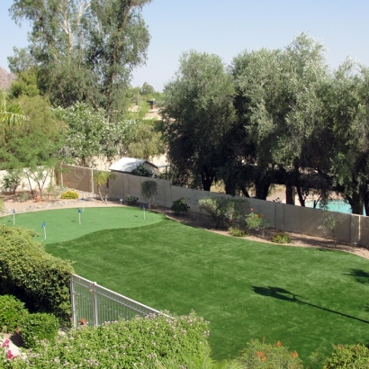 Faux Grass Trabuco Canyon, California Home And Garden, Backyard Designs