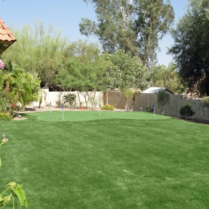 Faux Grass Trabuco Canyon, California Home And Garden, Backyard Designs