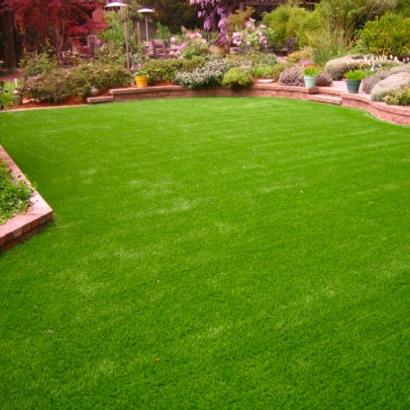 Grass Carpet Aliso Viejo, California Landscaping, Backyard Landscaping
