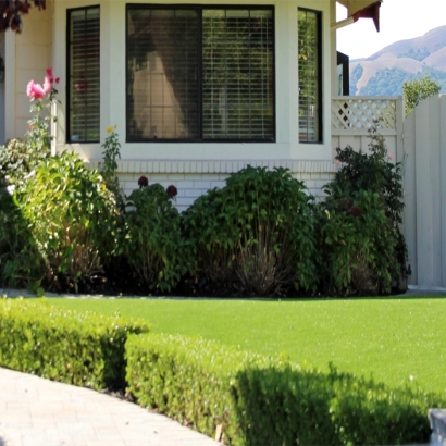 Grass Carpet Anaheim, California City Landscape, Landscaping Ideas For Front Yard