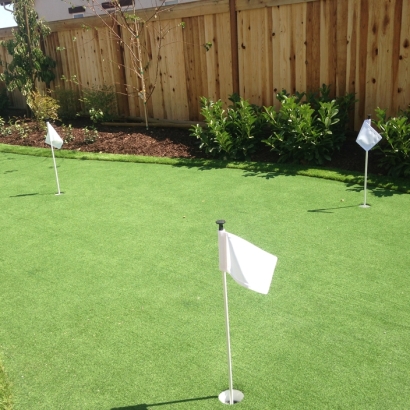 Grass Carpet La Palma, California Putting Green, Backyard