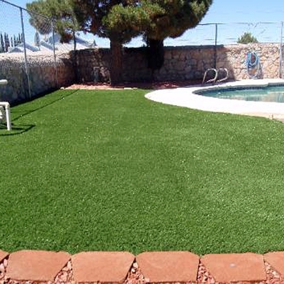 Grass Carpet Midway City, California Dog Hospital, Backyard Pool