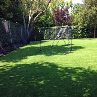 Grass Carpet Mission Viejo, California Eco Friendly Products, Beautiful Backyards