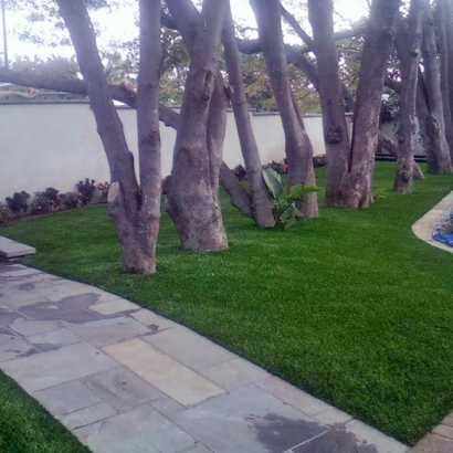 Grass Carpet Rancho Santa Margarita, California Lawns, Front Yard Ideas