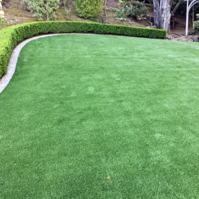 Grass Carpet Trabuco Canyon, California Landscape Ideas, Backyard Landscape Ideas