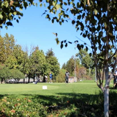 Grass Installation Midway City, California Home Putting Green