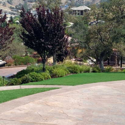 Grass Turf Costa Mesa, California Landscape Photos, Landscaping Ideas For Front Yard