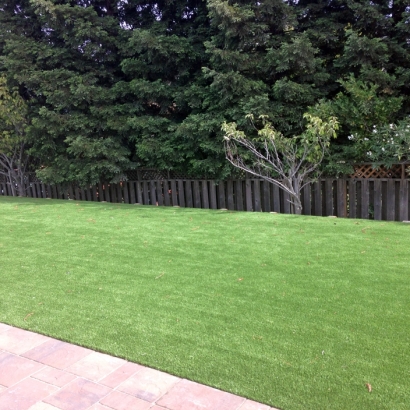 Grass Turf Fountain Valley, California Landscaping Business, Small Backyard Ideas