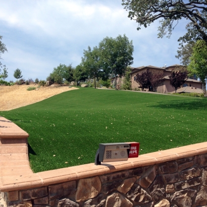 Grass Turf La Habra, California City Landscape, Small Front Yard Landscaping