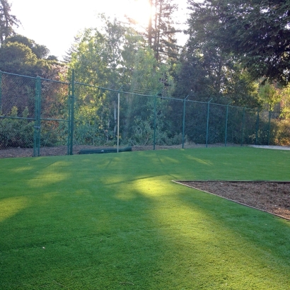 Grass Turf La Palma, California Roof Top, Recreational Areas