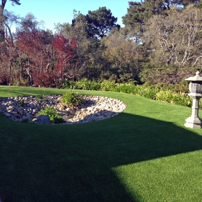 Grass Turf Ladera Ranch, California Landscape Photos, Small Backyard Ideas