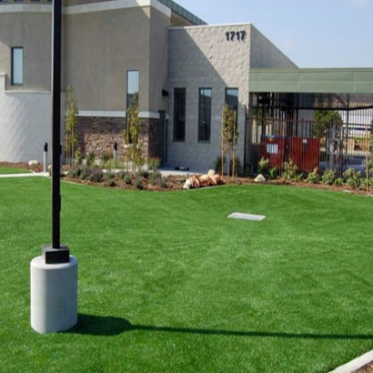 Grass Turf Laguna Niguel, California Paver Patio, Commercial Landscape