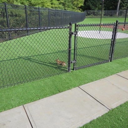 Grass Turf Lake Forest, California Athletic Playground, Recreational Areas