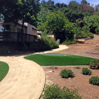Grass Turf Placentia, California Home And Garden, Landscaping Ideas For Front Yard