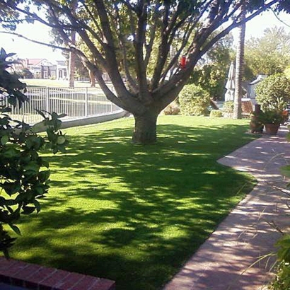Grass Turf San Clemente, California Landscape Ideas