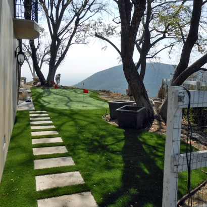 Grass Turf Trabuco Canyon, California Backyard Putting Green, Backyard Design