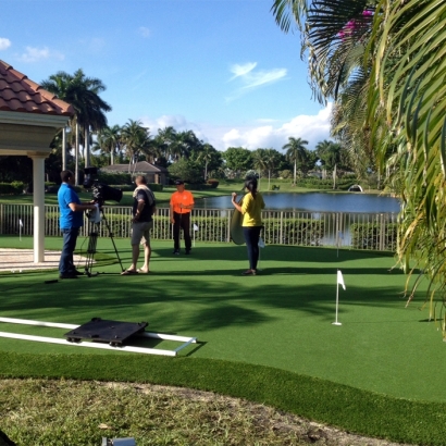 Green Lawn Laguna Hills, California Putting Green, Backyard Landscaping