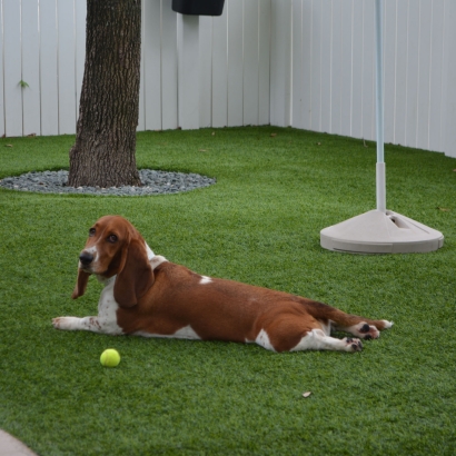How To Install Artificial Grass Laguna Beach, California Pet Turf, Dogs Runs