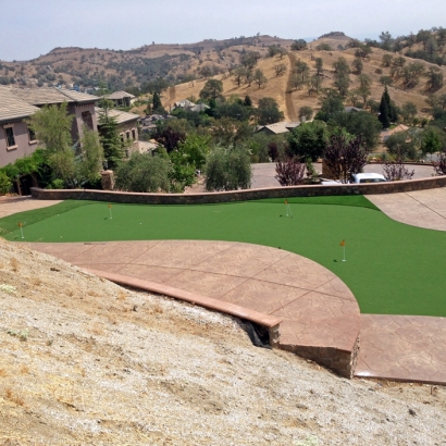 Lawn Services Seal Beach, California Outdoor Putting Green, Backyards