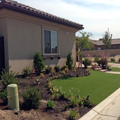 Outdoor Carpet Laguna Beach, California Lawn And Garden, Front Yard Landscape Ideas
