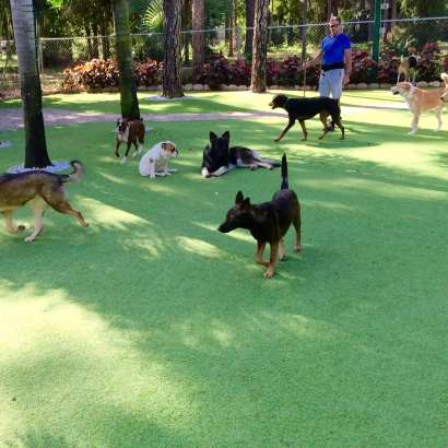 Outdoor Carpet San Clemente, California Dog Pound, Dogs Park