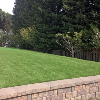 Outdoor Carpet San Joaquin Hills, California Putting Green, Backyard Makeover