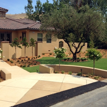 Outdoor Carpet Trabuco Canyon, California Landscape Design, Front Yard