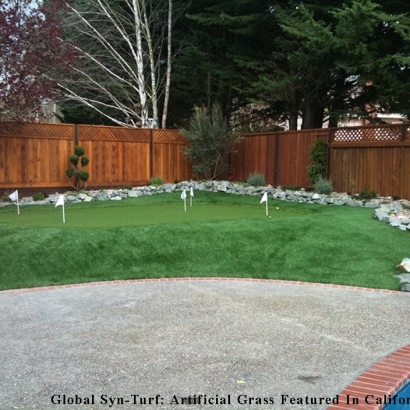 Outdoor Carpet Westminster, California Design Ideas, Backyard Garden Ideas