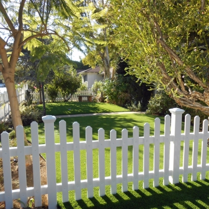 Plastic Grass La Palma, California Landscaping, Front Yard Design