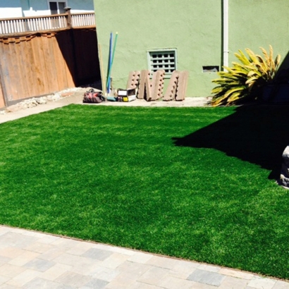 Plastic Grass Laguna Beach, California Fake Grass For Dogs, Backyard Garden Ideas