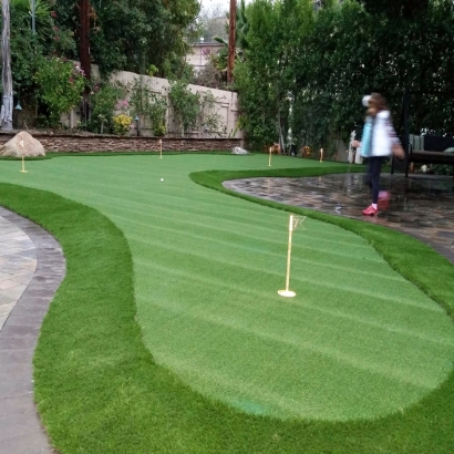 Plastic Grass Portola Hills, California Lawn And Garden, Backyard Ideas