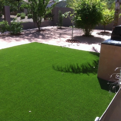 Plastic Grass Tustin, California Hotel For Dogs, Backyard Landscaping