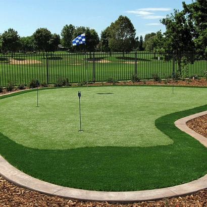 Plastic Grass Tustin, California Putting Green Turf, Backyards