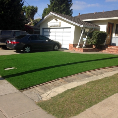 Plastic Grass Villa Park, California Rooftop, Front Yard Landscaping Ideas