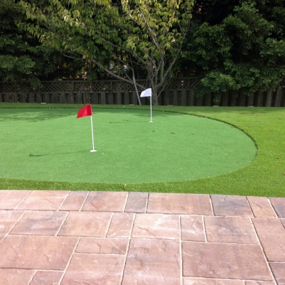 Synthetic Grass Cost Westminster, California Indoor Putting Greens, Backyard Landscaping Ideas