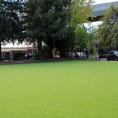 Synthetic Grass La Palma, California Home And Garden, Commercial Landscape