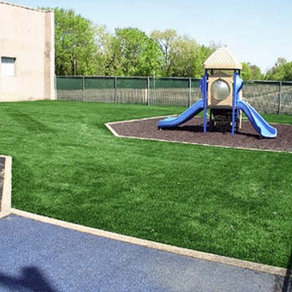 Synthetic Grass Ladera Ranch, California Garden Ideas, Commercial Landscape