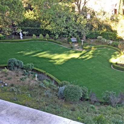 Synthetic Grass San Clemente, California City Landscape, Backyard Landscaping