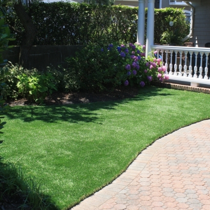 Synthetic Lawn Fullerton, California Grass For Dogs, Front Yard