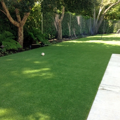 Synthetic Lawn Ladera Ranch, California Grass For Dogs