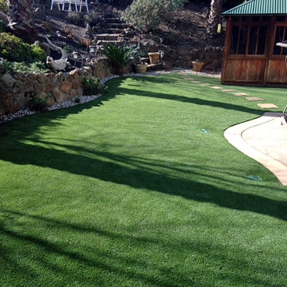 Synthetic Lawn Mission Viejo, California Landscaping Business, Pavers