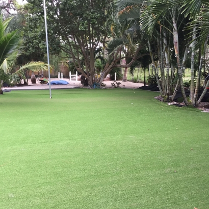 Synthetic Lawn Portola Hills, California Landscape Design, Commercial Landscape