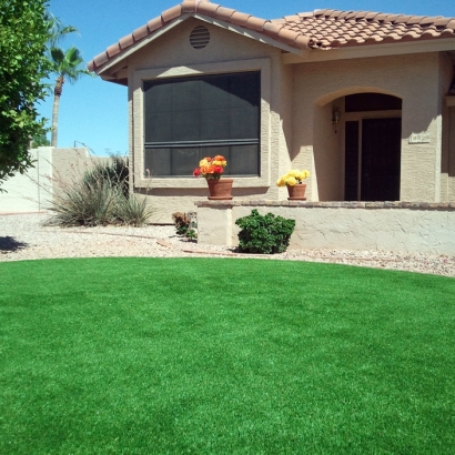Synthetic Lawn Trabuco Canyon, California Backyard Deck Ideas, Front Yard Landscaping Ideas