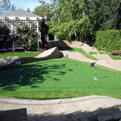 Synthetic Turf Buena Park, California How To Build A Putting Green, Backyard Ideas