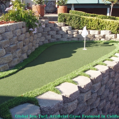 Synthetic Turf Garden Grove, California Design Ideas, Backyard Designs